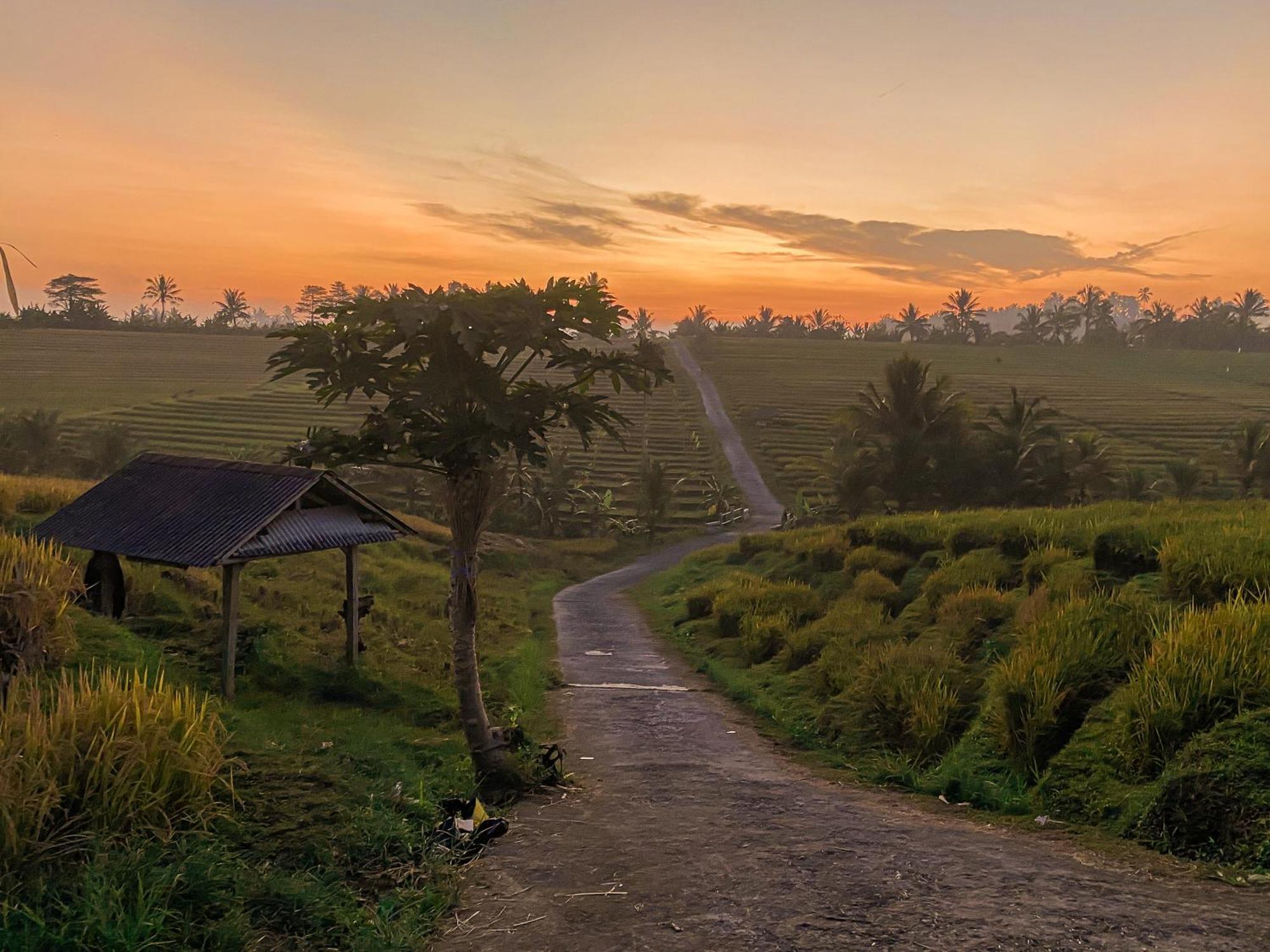 Appartamento Bali Palms Selemadeg Esterno foto