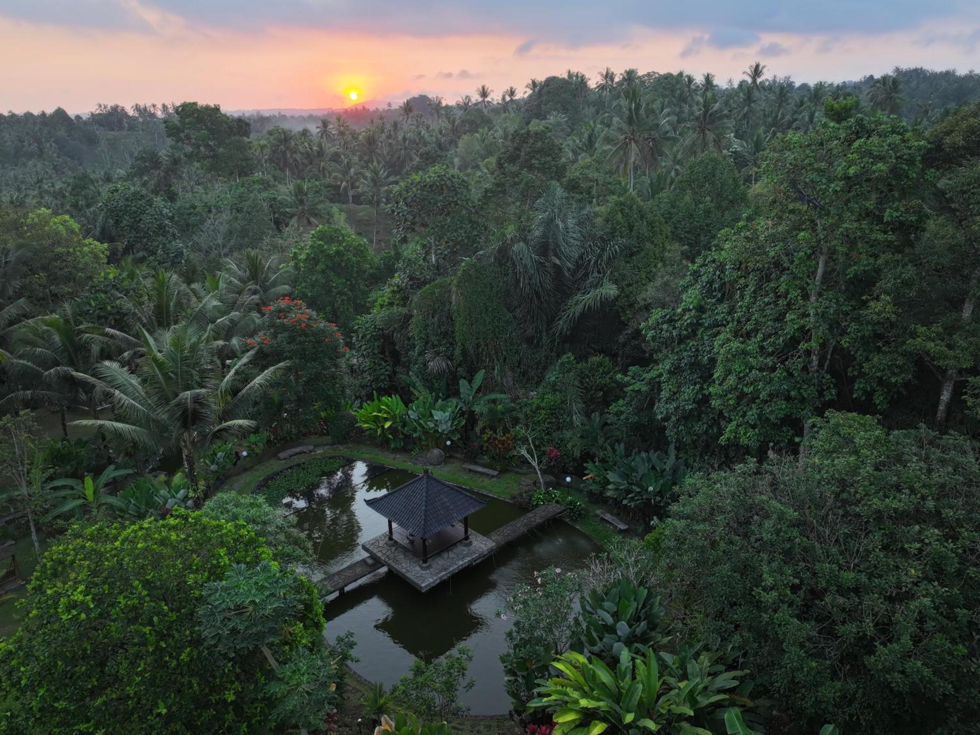 Appartamento Bali Palms Selemadeg Esterno foto