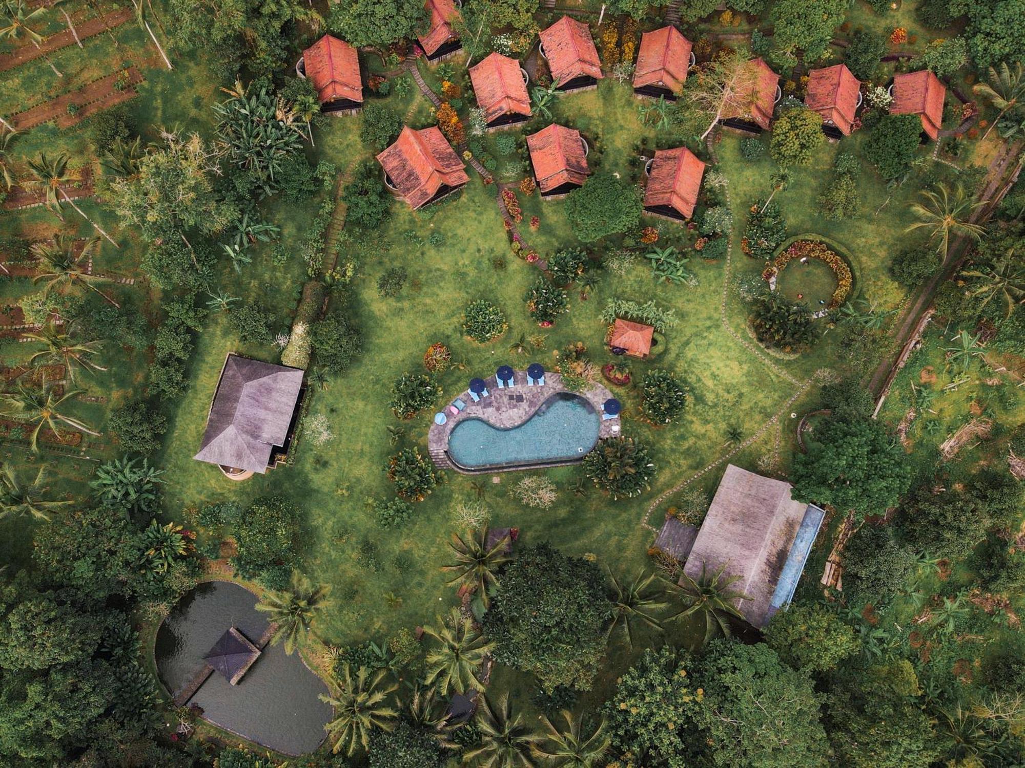 Appartamento Bali Palms Selemadeg Esterno foto